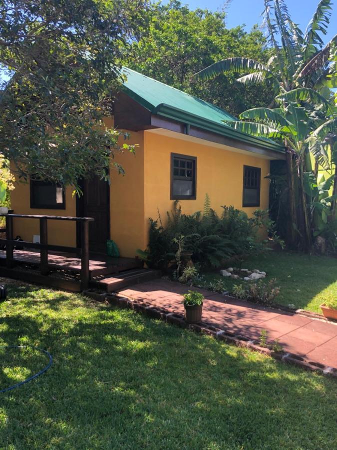 Airport Rio Segundo Studio Bed & Breakfast Alajuela ภายนอก รูปภาพ