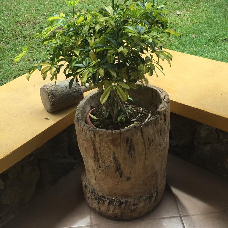 Airport Rio Segundo Studio Bed & Breakfast Alajuela ภายนอก รูปภาพ